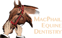MacPhail Equine Dentistry